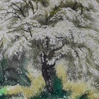 Sous les aubépines en fleurs (50x60)