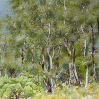 La vallée ensoleillée (cllection privée)