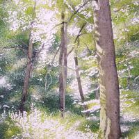 La clairière  50x60