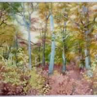 Les arbres bleus II ( 50x60) collection privée