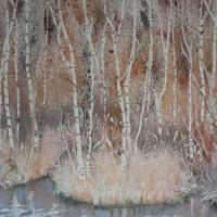 Les roselières II    50x60