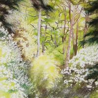 Le bois aux rhododendrons I (60x80) collection privée