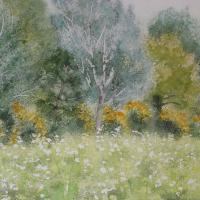 Entre les vignes et genêts 50v60