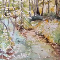 Le clapotis des sources 1 (5x60)