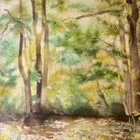 Le clapotis des sources 2 (50x60)