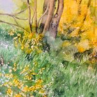 Le sentier aux genets (50x60)