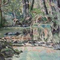 Le clapotis des sources III 50x60