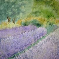 Le parfum des lavandes 50x60 (collection privée)