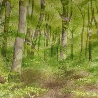 Sous-bois (50x60)