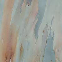 Lueurs d'écorce I  50x60