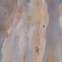 Lueurs d'écorce IV  50x60