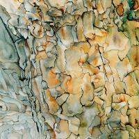 Eclat singulier   60x80