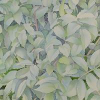 L'arbre bleu II  50x50