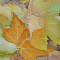 L'envolée (collection privée) 40x50