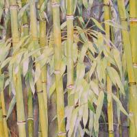 les bambous 40x90