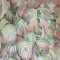 Métamorphose (50x60)