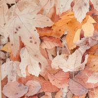 Sous mes pas 4 (50x60)