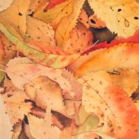 sous mes pas 3 (50x60)