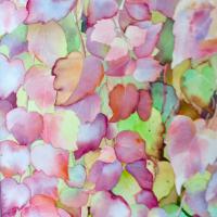 vigne vierge (50x60)