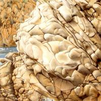 Entre pierre et mer 60x80