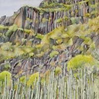 Mimétisme végétal 60x80