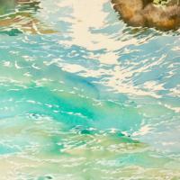 jaillissement (50x50)