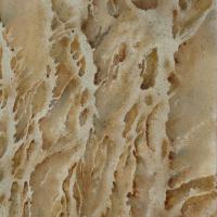 C'est écrit dans le sable II 48x68