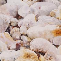 Les galets blancs 40x50