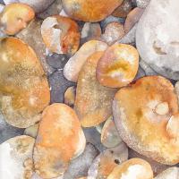 Les galets roux 40x50