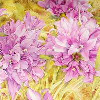 Le jardin aux campanules 50x60