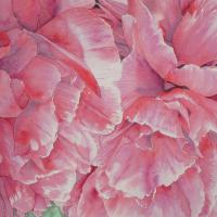 Pivoines rouges I 50x60