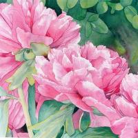 Pivoines rouges II 50x60