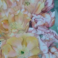 Fleurs de cactus (50x60)