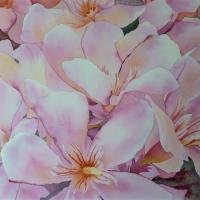 Lauriers roses 1 (50x60)