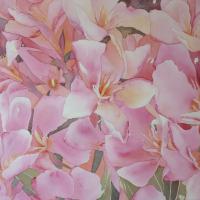 Lauriers roses II 50x60