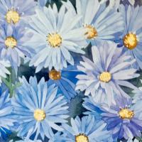 Les Asters (50x60)
