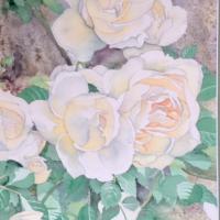 Les roses du muret (50x60)